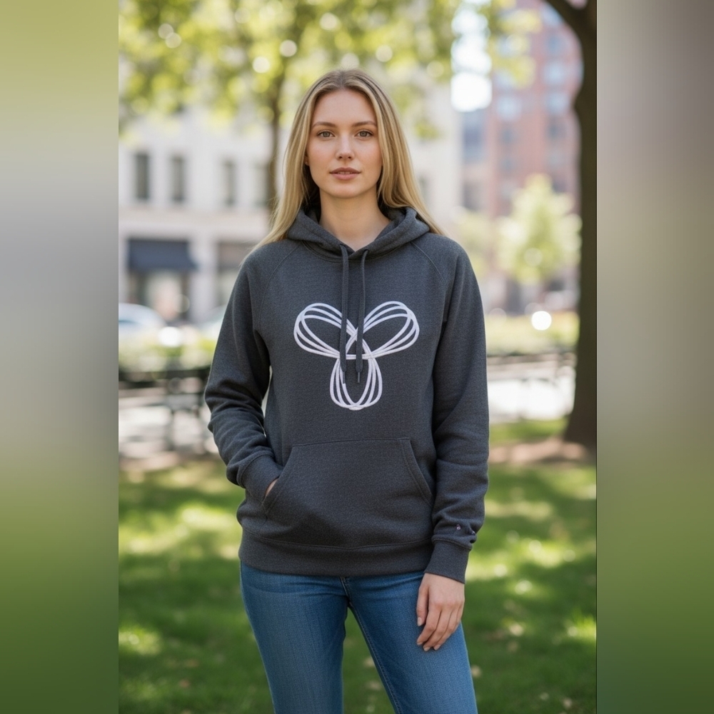 ARITZIA Tna Baltic Embroidered Pullover Hoodie